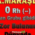 gargaburnu