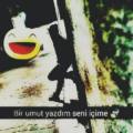 QuqlityDqmqge666