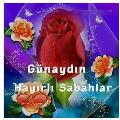 06kral06