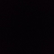 rojin_dicle