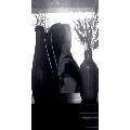 selin_a
