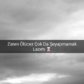 byzcebe