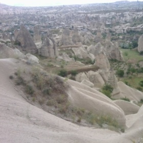 Masumbaykuş