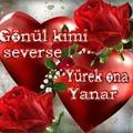 kenanbln