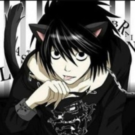 catboyavcisi