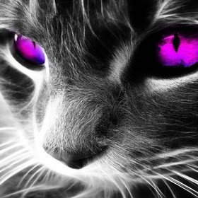 I_ghost