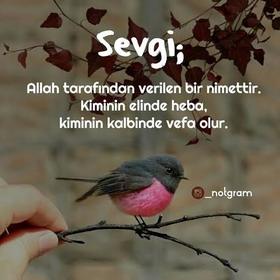 İsml964