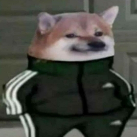 hayatnerede