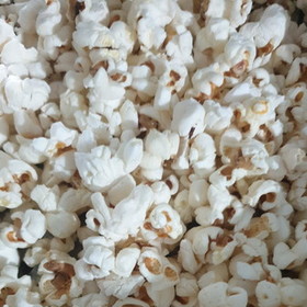 Bibakk