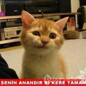 Çilem34