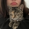 Clementinediyin