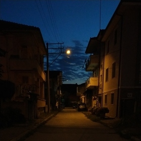 Sosyalkelebek_67