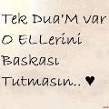 elanurgizem