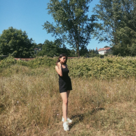 iulmt