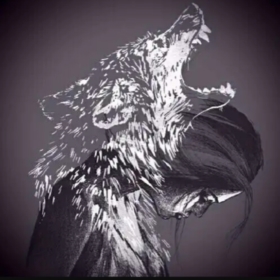 Wolf_derek