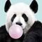 Pandalist
