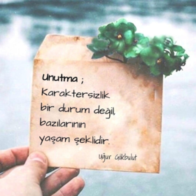 Nilaybrs
