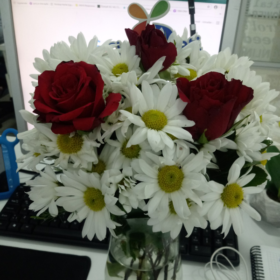 Musti0909