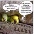 gültepeliemin