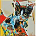 Kitty13