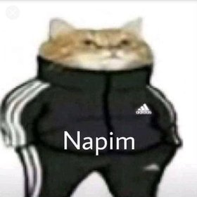 s2mleyuzles31