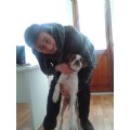 maydin20