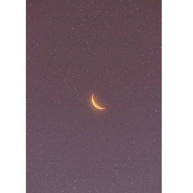 desperateyoung