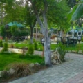 hayatmavisi239