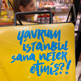 herkesindalgasi