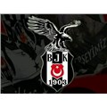 bicdetanirlar