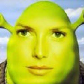 ladyshrek