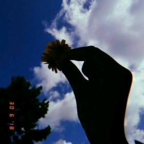 xxayşenurxx1