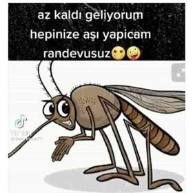 Mustafaali0105