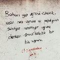yasinylmz