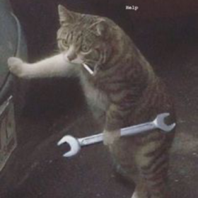 yabancılardandıro