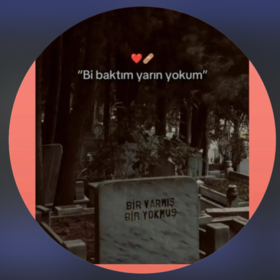 albaym01
