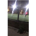 ReisHfb