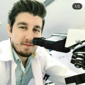 DrAnimalss