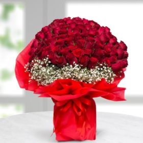 burak_0101