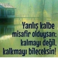 harun3455