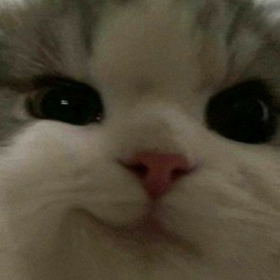 duyguk4b4y