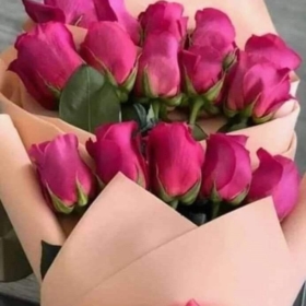iremaslan3457