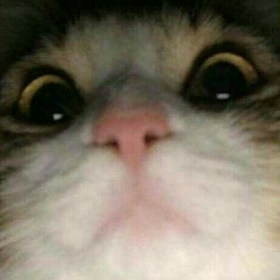 deliiiimirayy