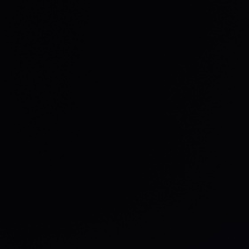_Ali19