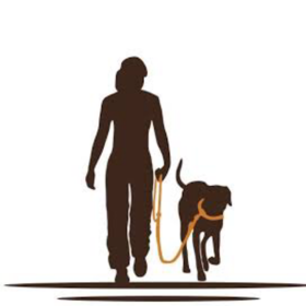 dogTrainer41