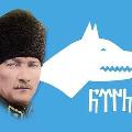 60_cCc_60