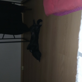 kirmizikafalihatun
