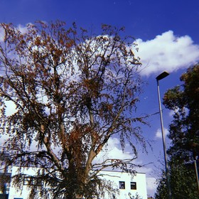 depresyongüzeli