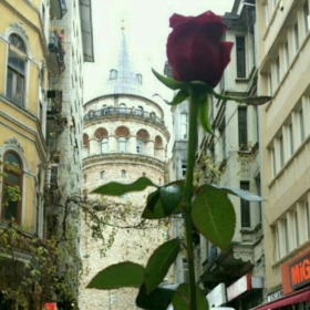 elçinberva