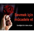 cesuryurek8334